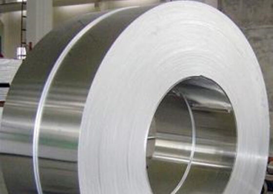 acheter Épaisseur laminée à chaud de bandes en métal de l'acier inoxydable No.1 316L 3mm - 16mm fabrication en ligne