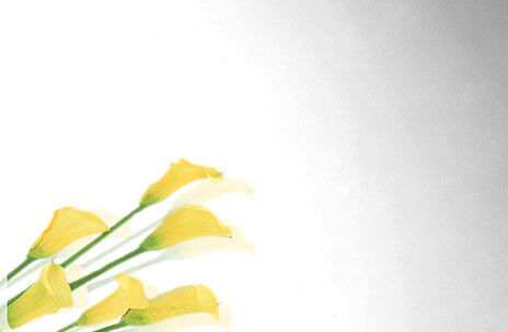 acheter Surface lumineuse superbe de feuille polie par miroir d'acier inoxydable de la finition No.8 fabrication en ligne